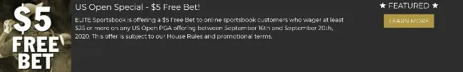 Elite Sportsbook offer