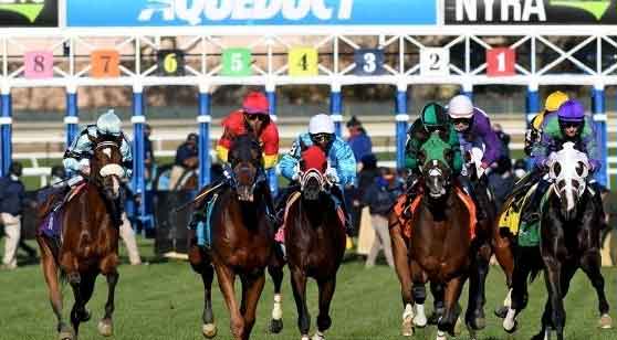 2022 Gotham Stakes Picks, Predictions, Odds