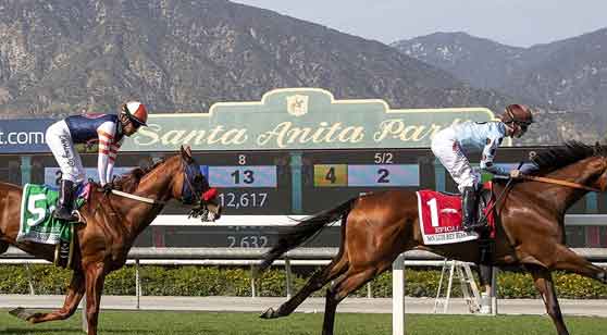 2022 San Felipe Picks, Predictions, Odds