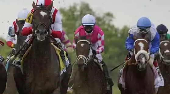 Tampa Bay Derby Picks, Predictions, Odds