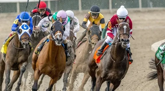 Louisiana Derby Picks, Predictions, Odds
