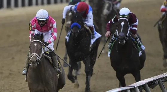 Preakness Stakes Picks, Predictions, Odds