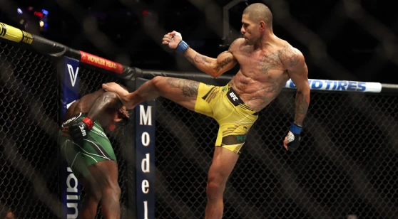 UFC 281 Betting Results