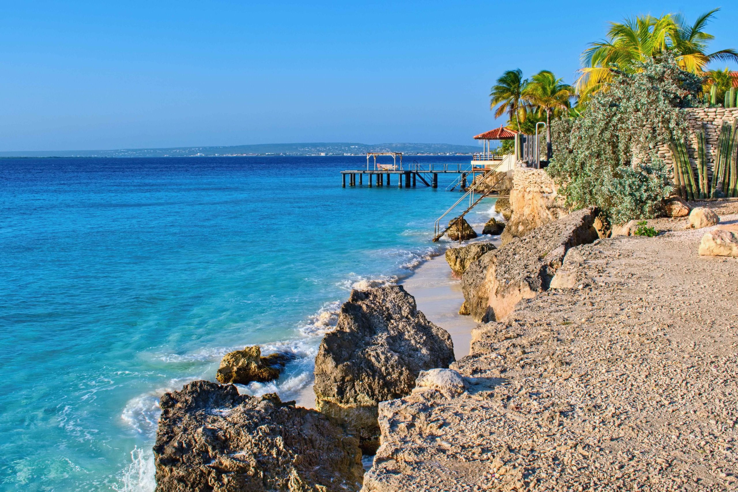 Love Overboard Odds: Which Cast Members Are Most Likely to Land on Bachelor in Paradise?