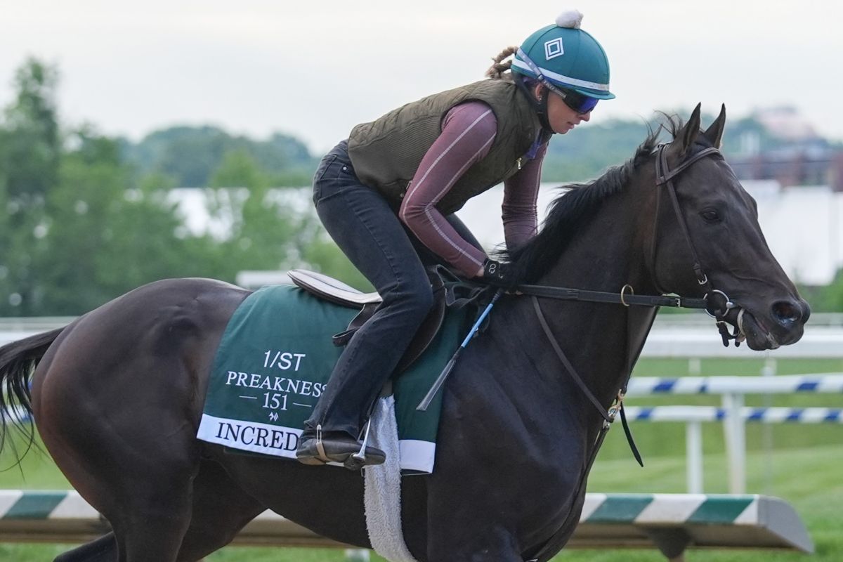 2026 Preakness Odds, Post Positions, Picks: Incredibolt the New Favorite