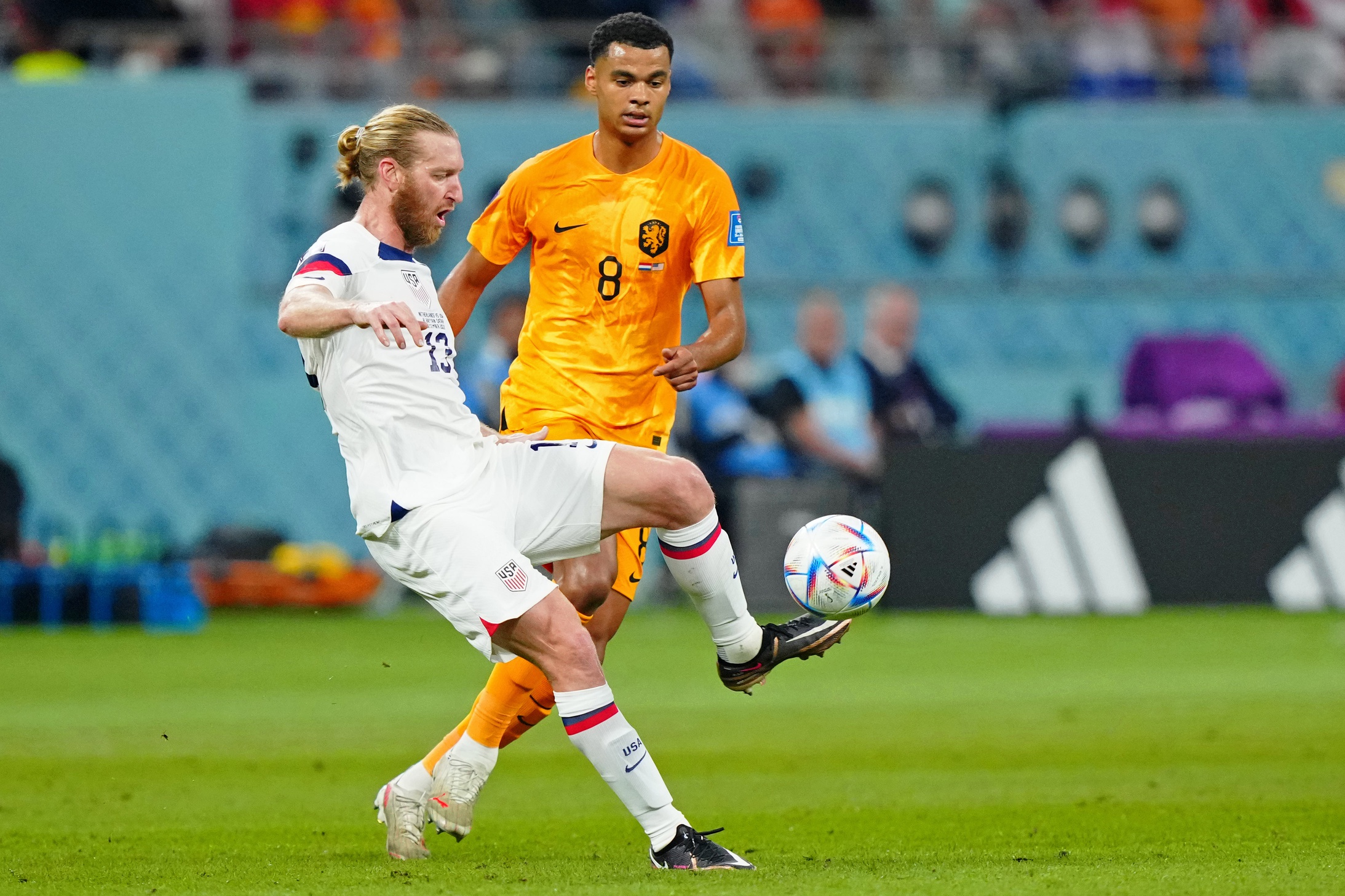 Netherlands vs Japan Prediction, Picks, Odds