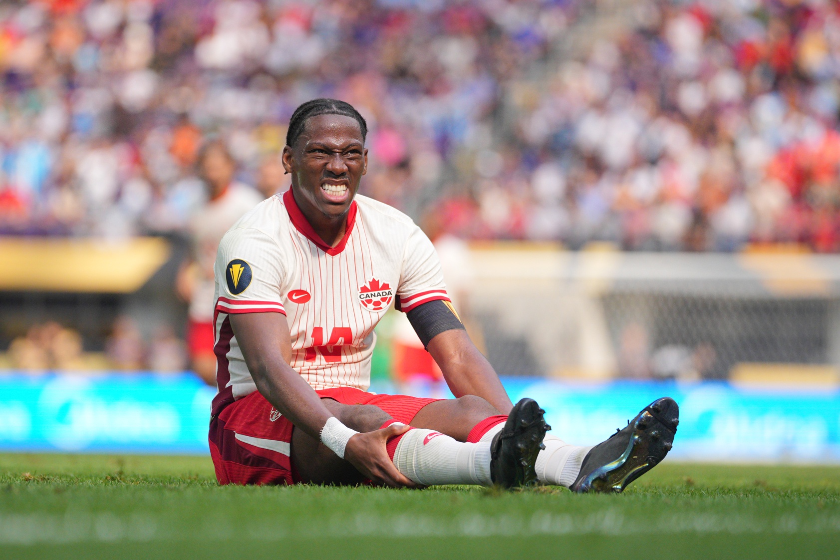 Canada vs Bosnia & Herzegovina Prediction, Picks, Odds