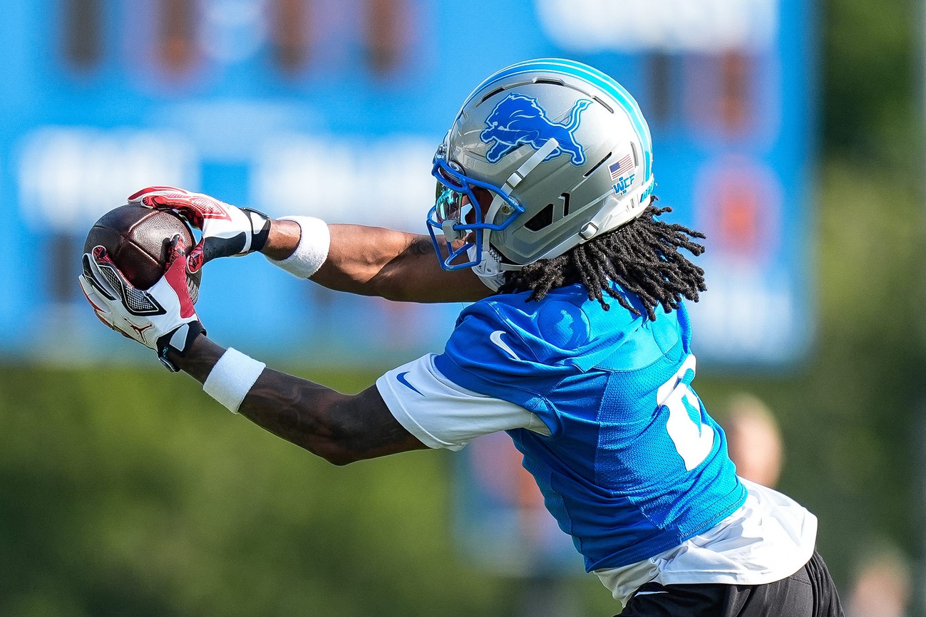 Dolphins vs. Lions Preseason Odds, Game Preview